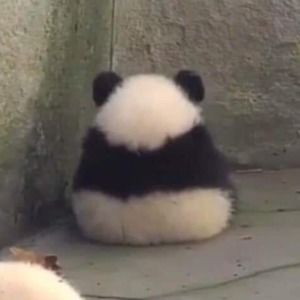 Meet your Posher, Naomi